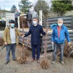 Kastamonu’da 175 Üreticiye 7 Bin Adet Amasya Elması Fidanı Dağıtıldı